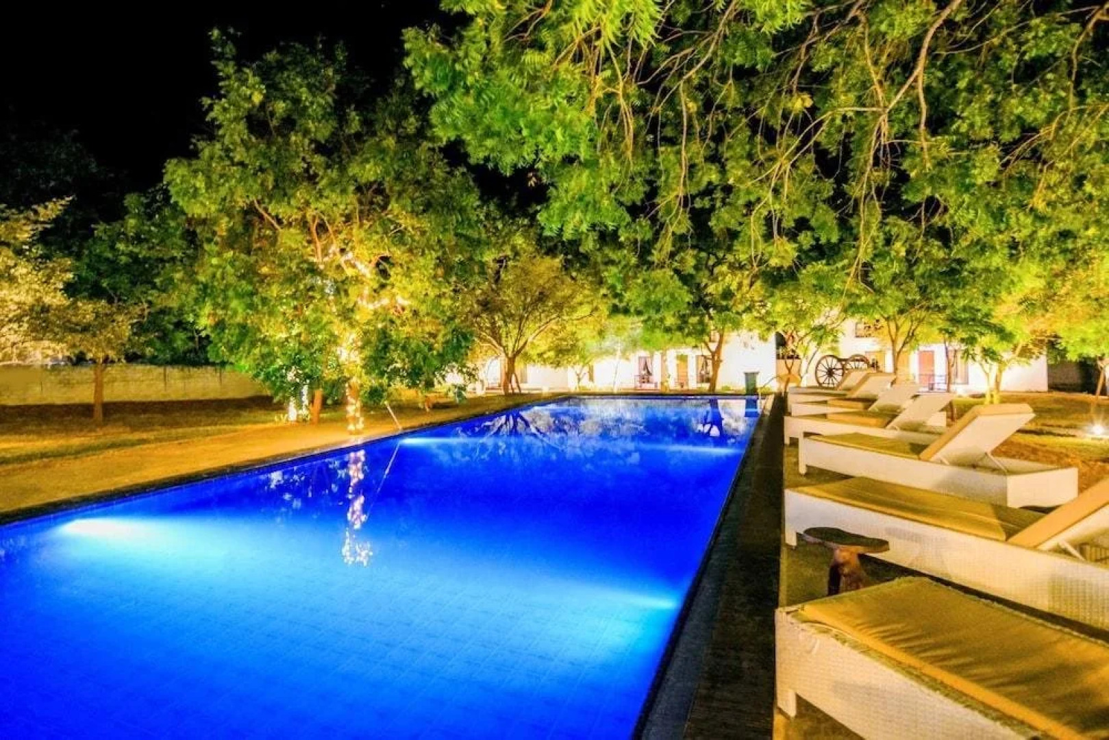 Arana by Forest Trails