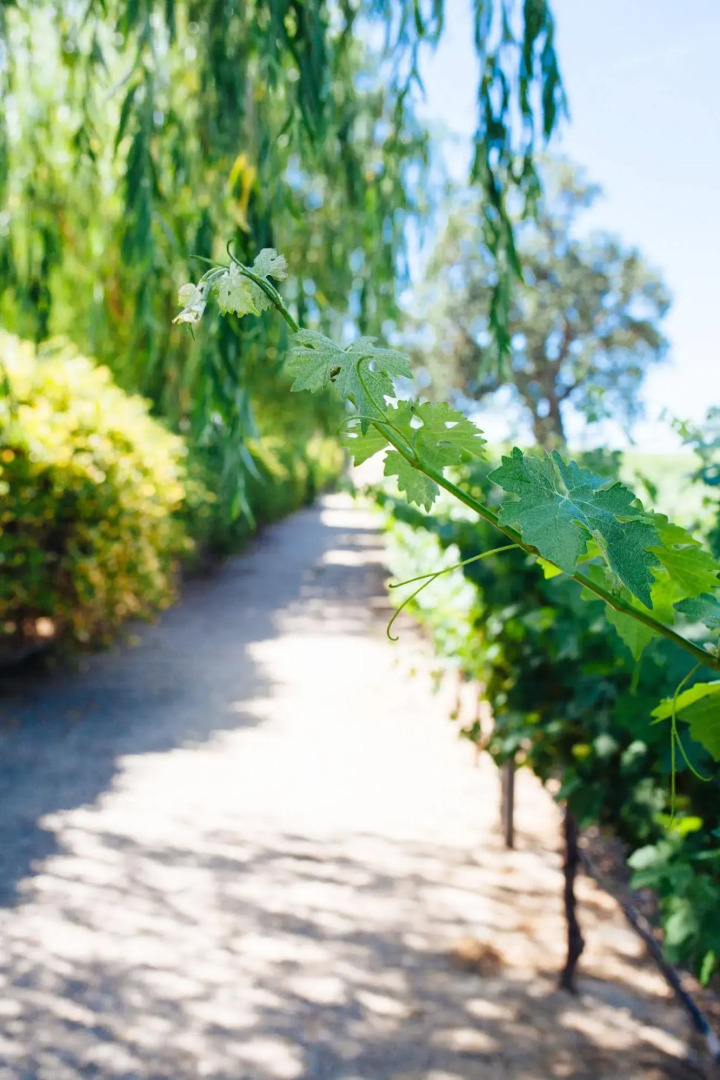 Wine Country RV Resort