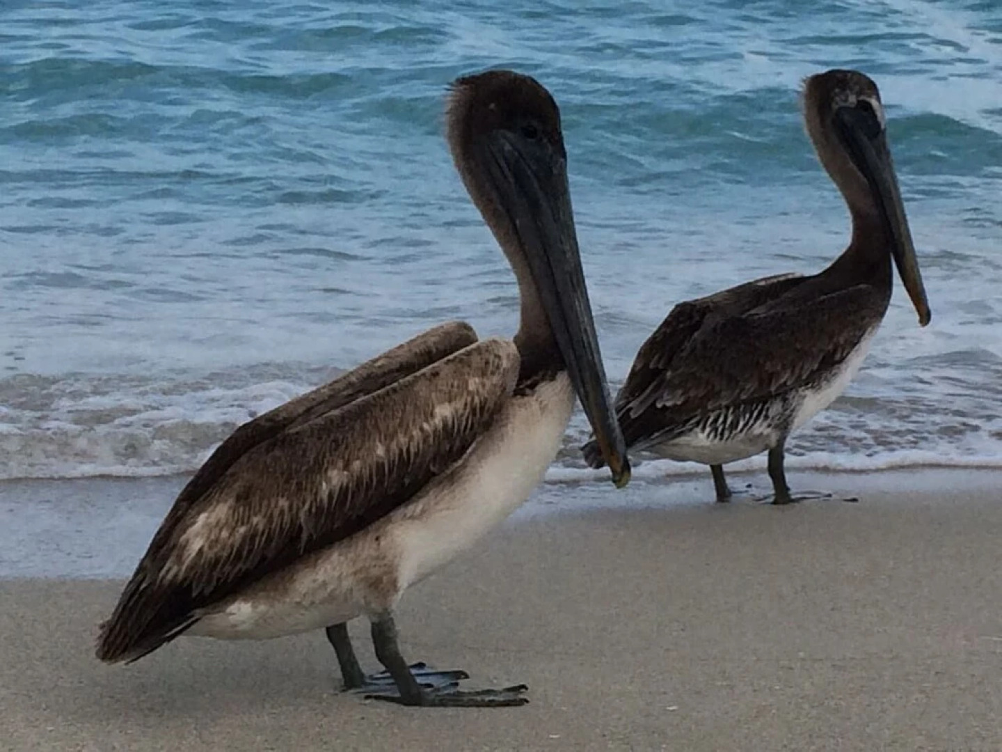 Casa Rocco 3 - Walking Distance To Varadero Beach