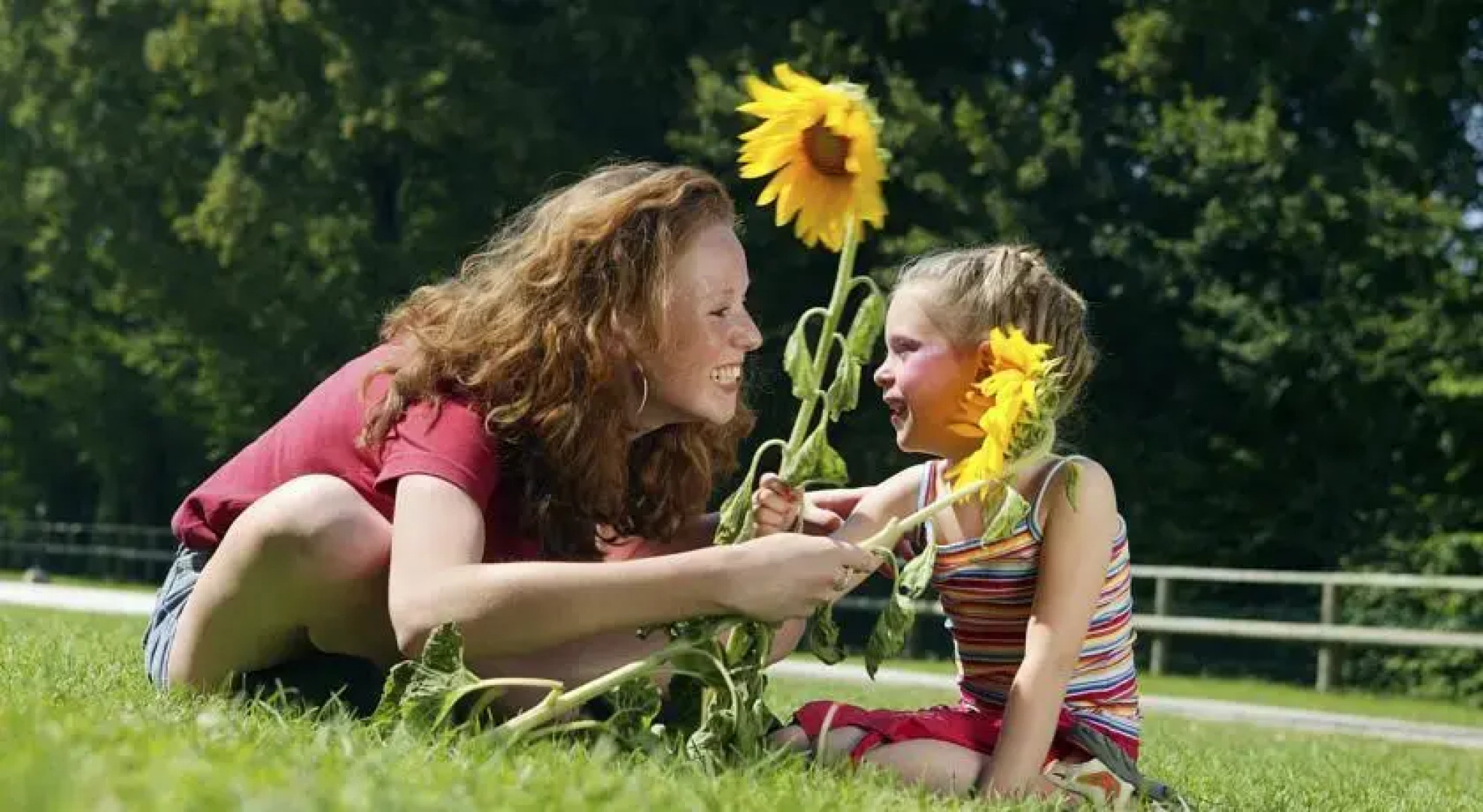 Gîtes la Forge de Sainte Marie