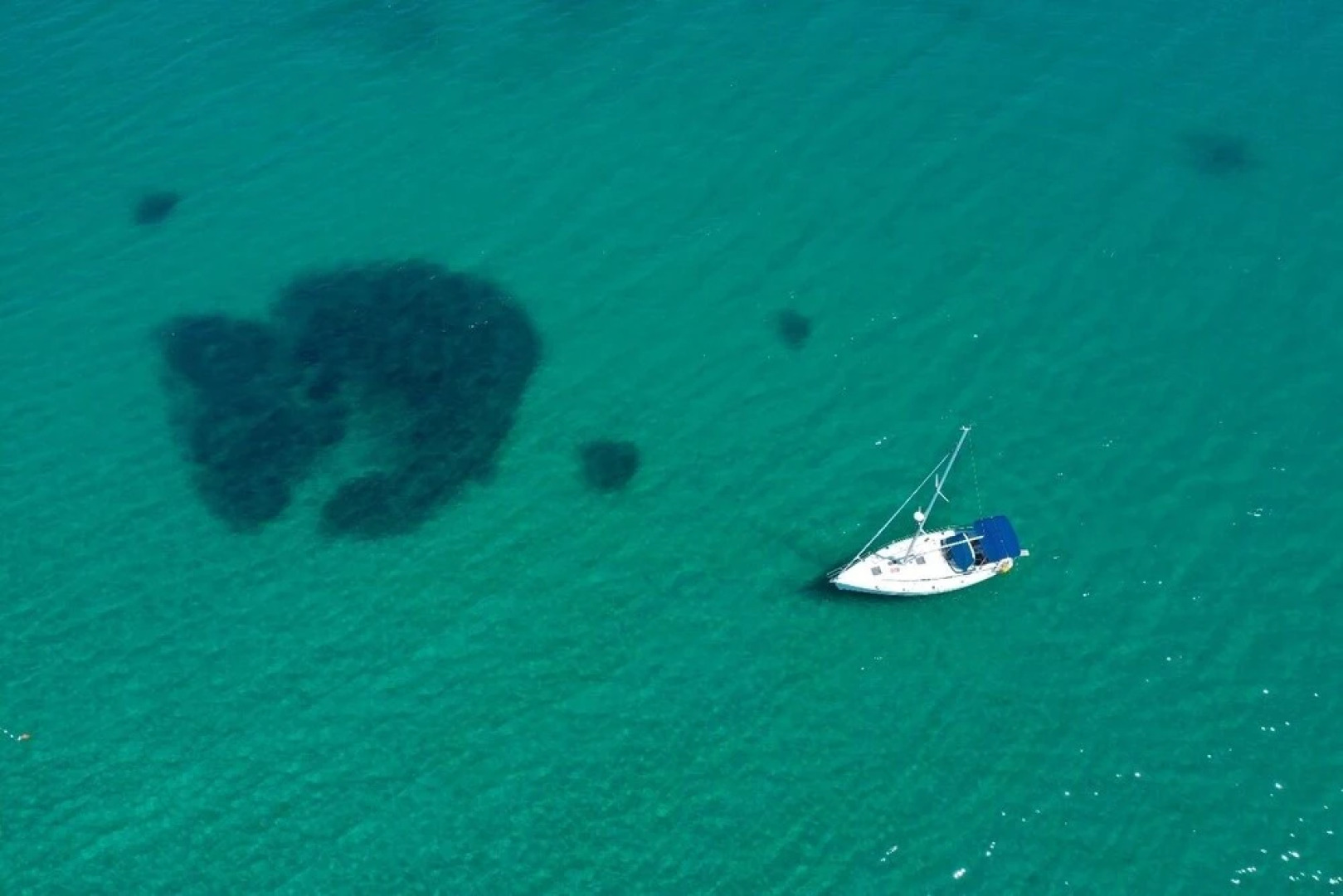 Suzana - Green Oasis - A1