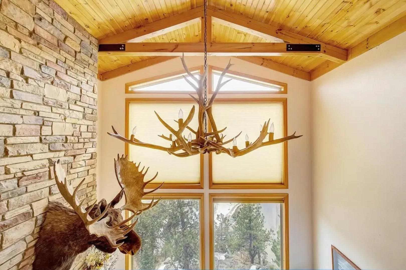 Secluded & Spacious Mountain Getaway