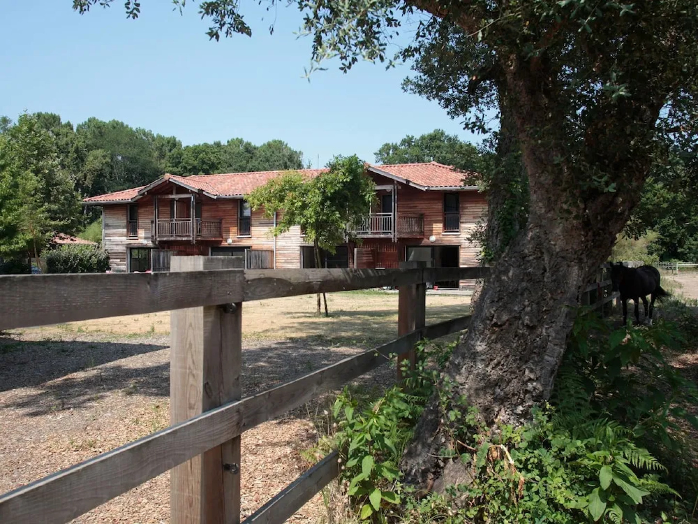 Nice Apartment With Wifi Located 2.5 km. From the Beach