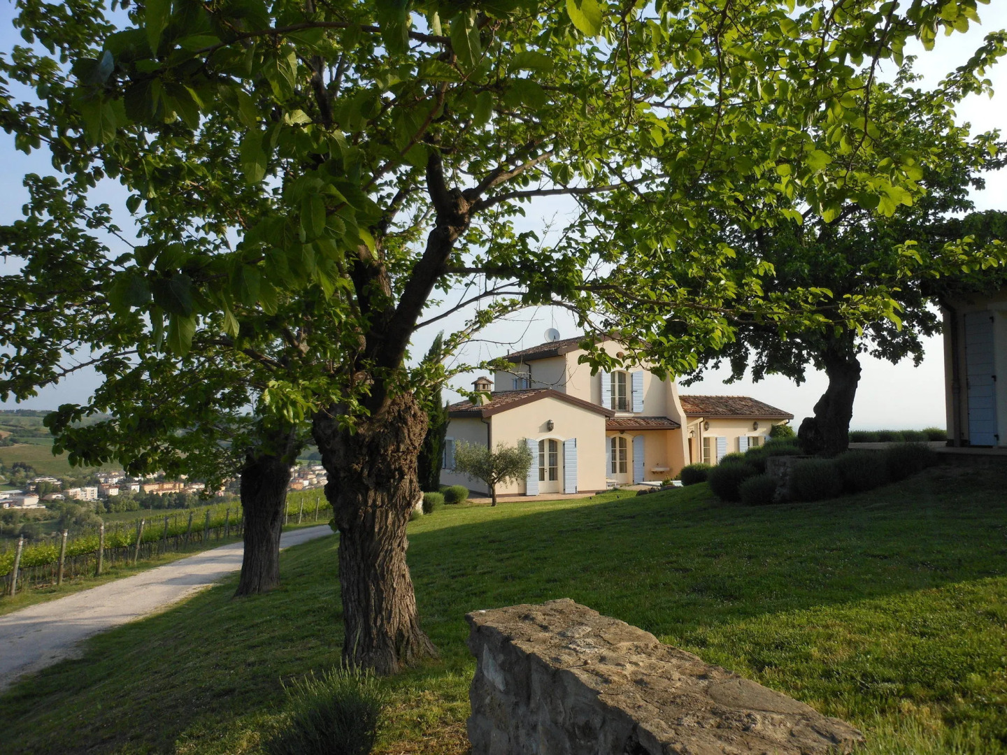 Borgo Condé Wine Resort