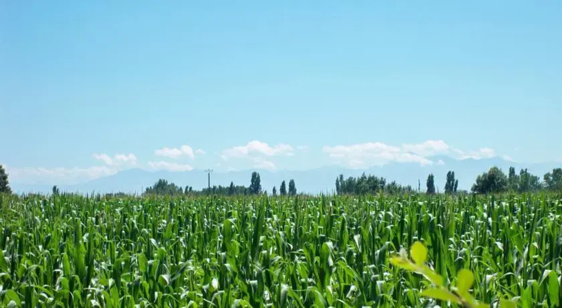 Logis Gascons Gite 1