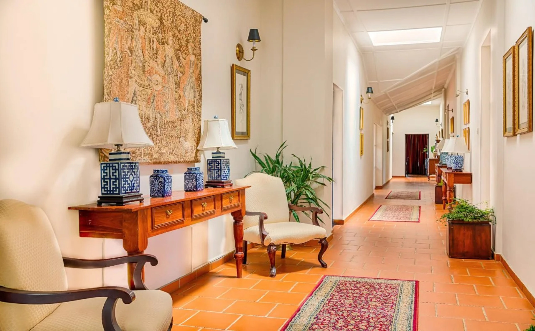 Dickoya by Zinc Journeys