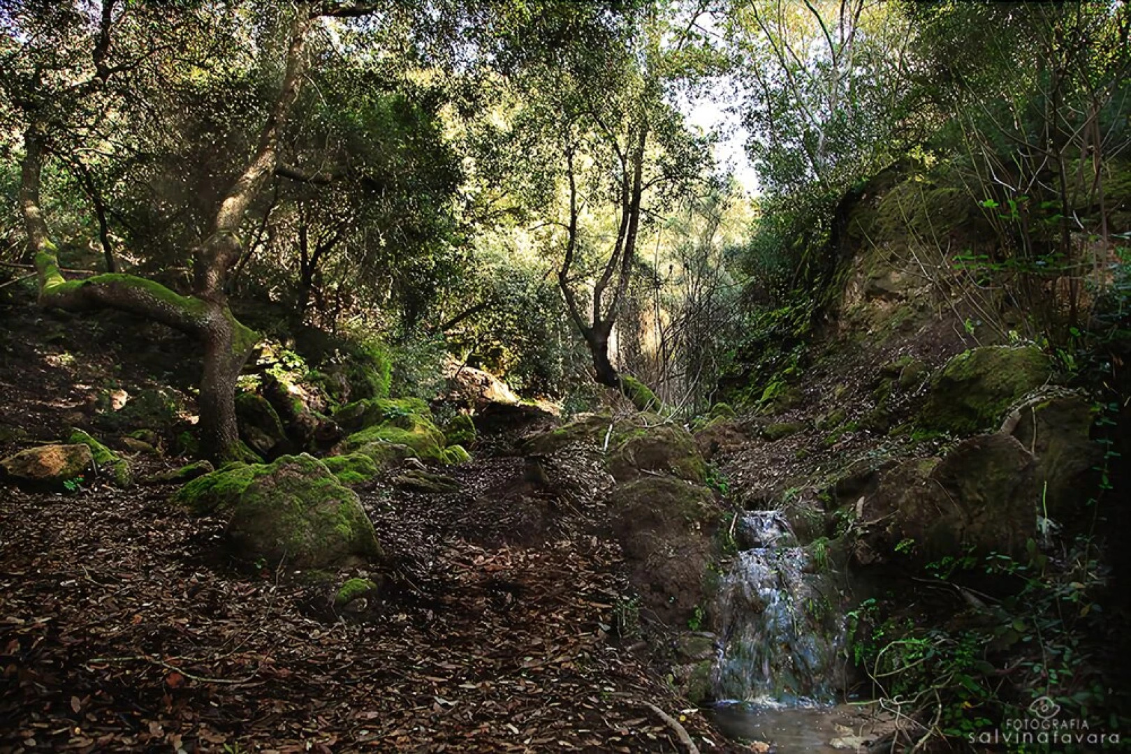 V-Entroterra Ospitalità Rurale