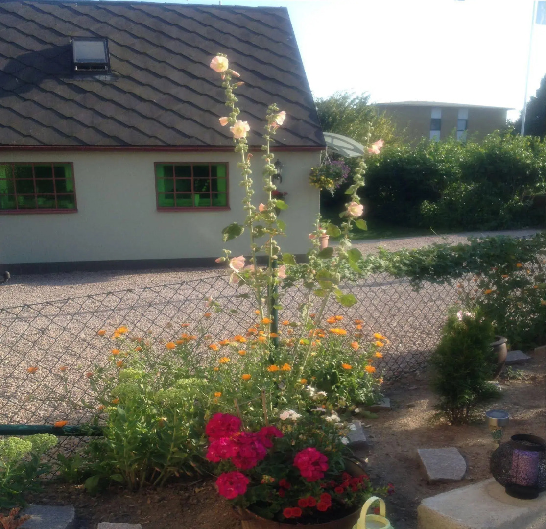 Vivans Bed & Self catering