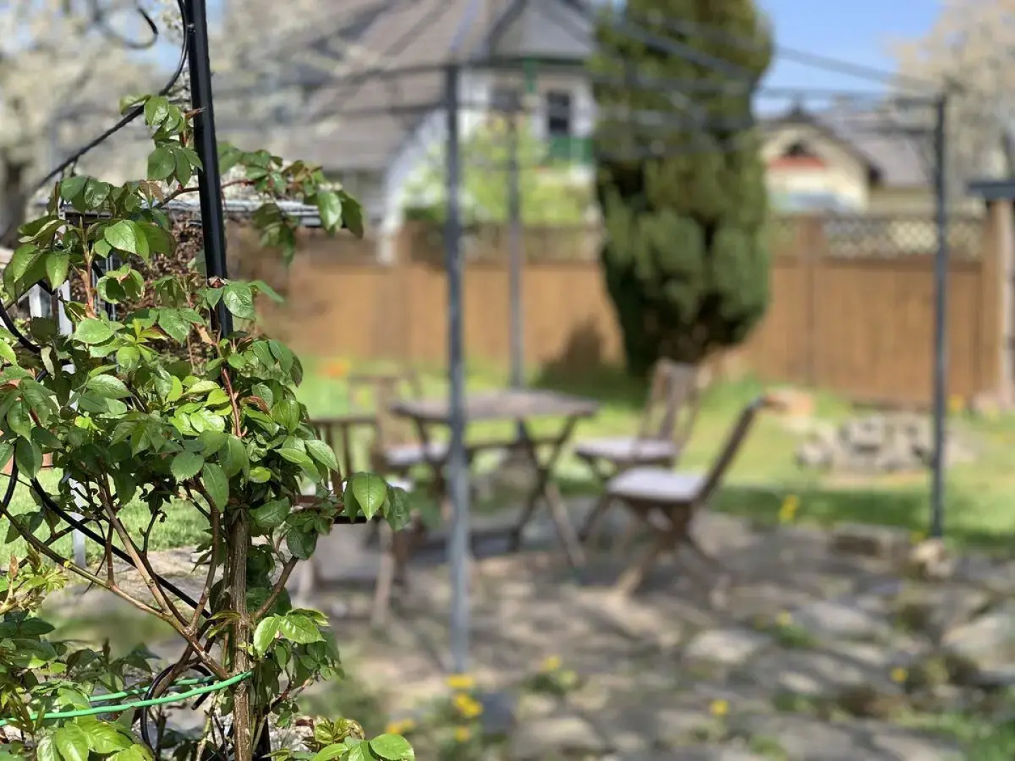 Altes Zehnthaus Geierlay