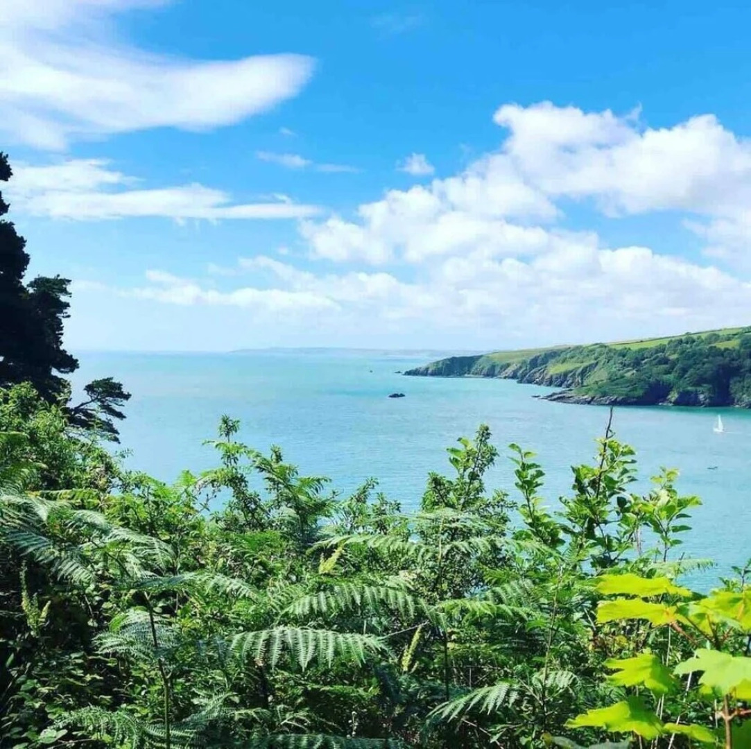 Characteristic 5-bed House on the Edge of Dartmoor