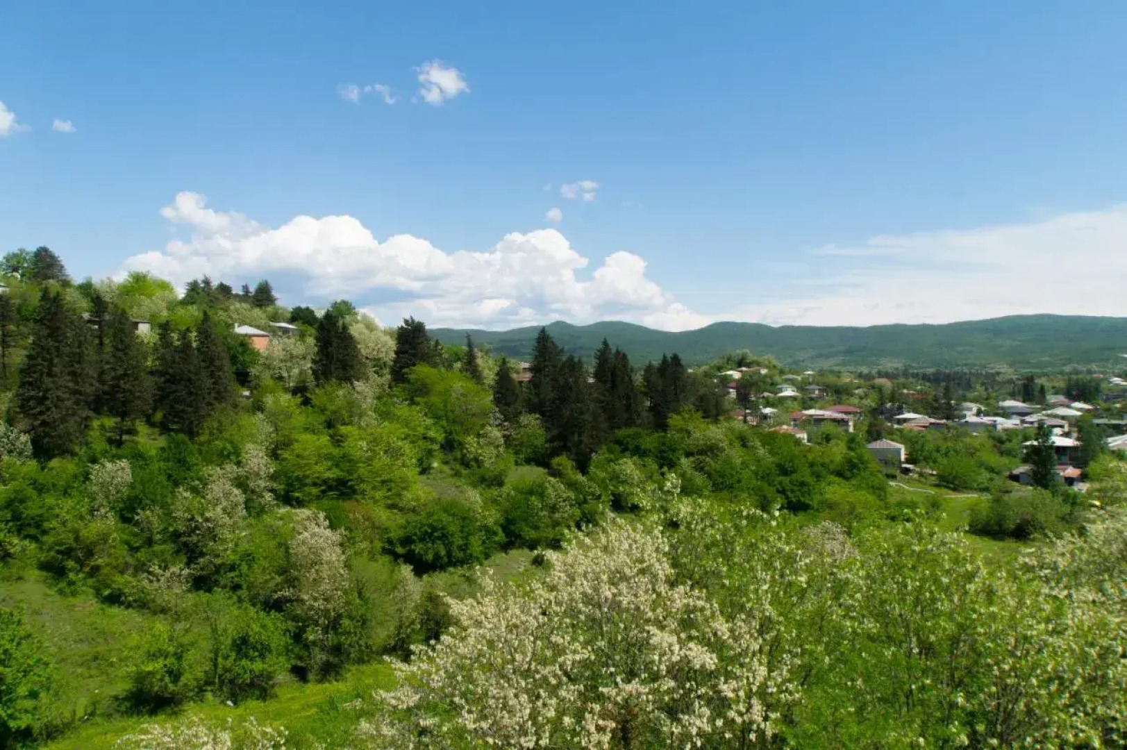 Guest house Na Avaliani