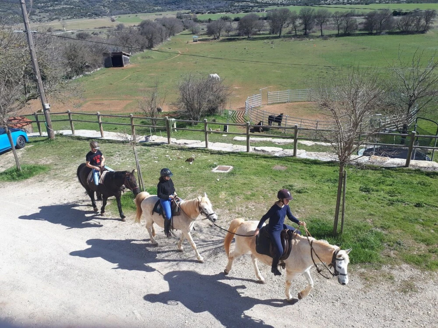 Gite de Gazelle Chambres d'Hote