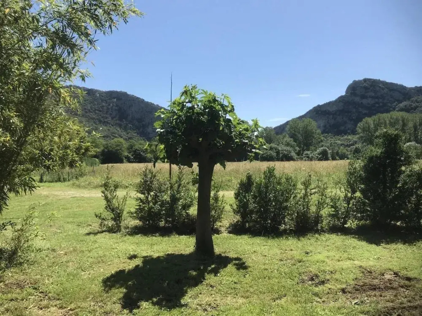 La Maisonnette de Cabanis Chambre d'Hôte