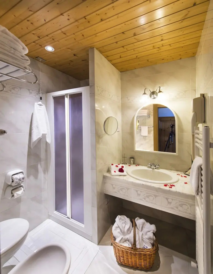 Alp & Wellnes Sport Hotel Panorama