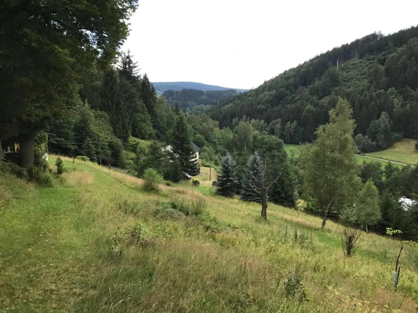 Sun & Snow Hollyhome