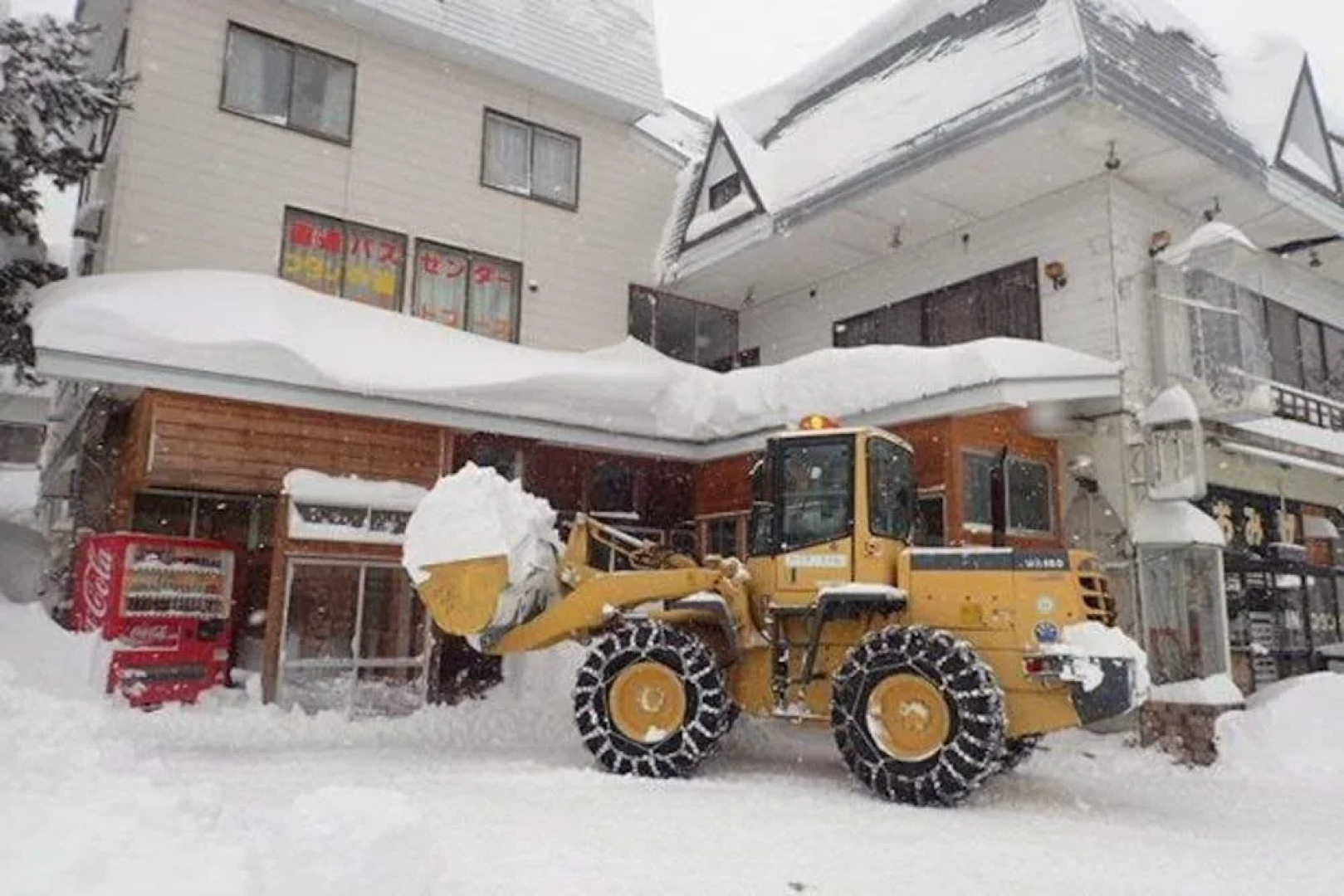 Hakuba Cortina Backpackers - Hostel