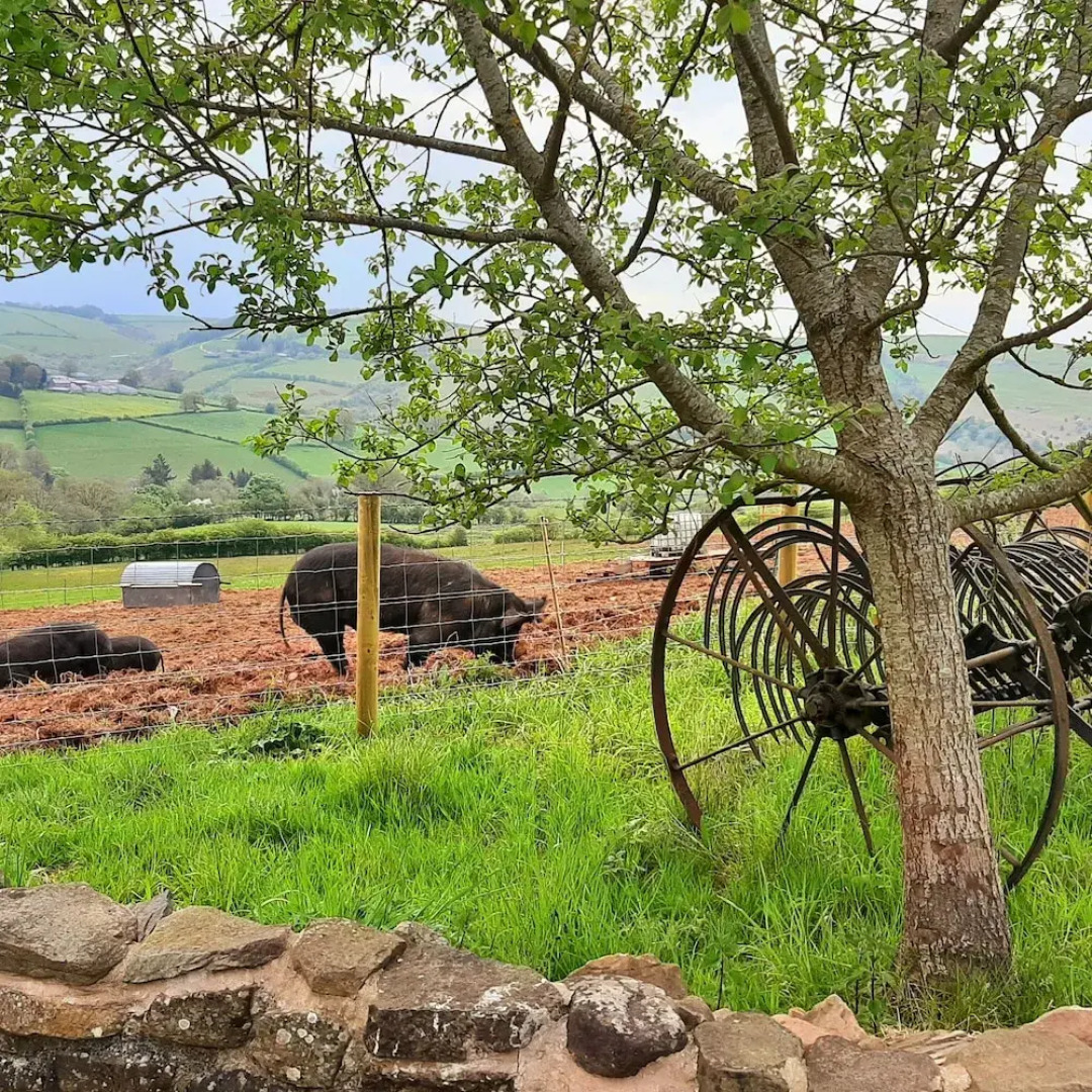 1 Double Bedrooms Cottage