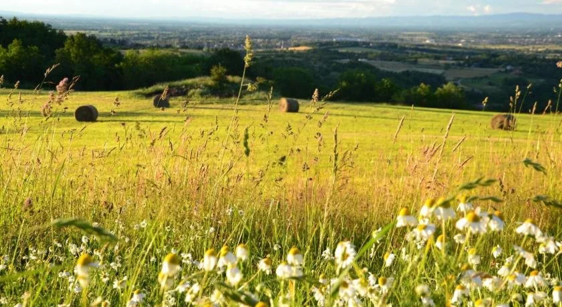 La Grange Aux Hirondelles