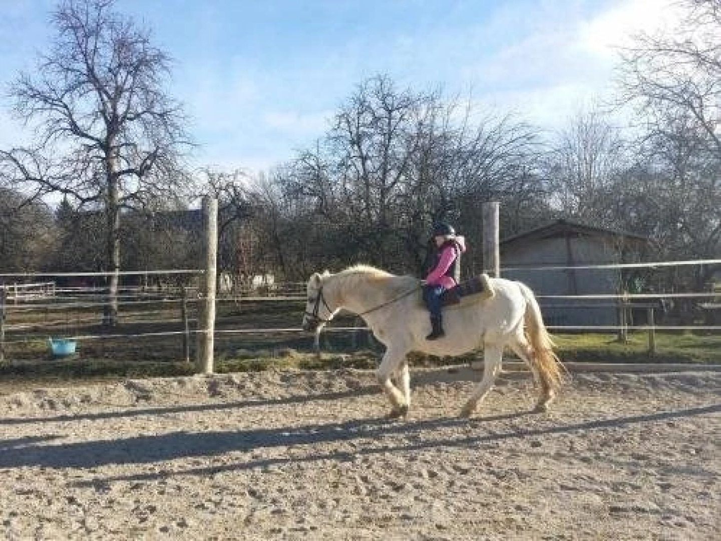Slovenian Traditional Guest House