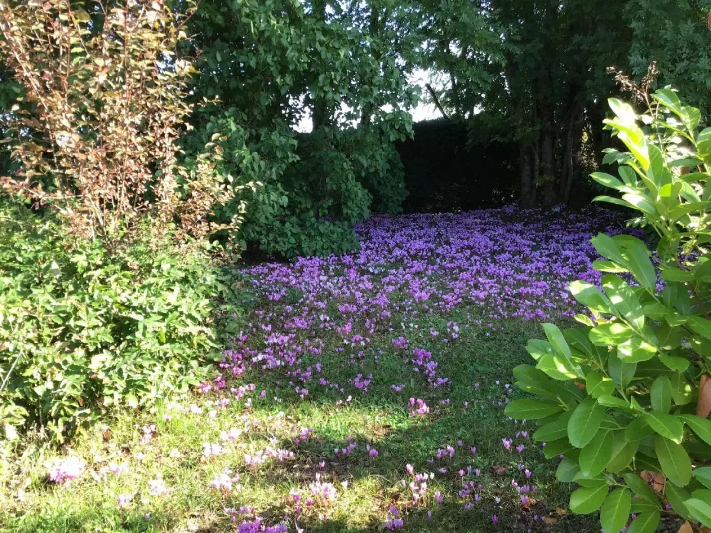 Le Manoir de Juillereau