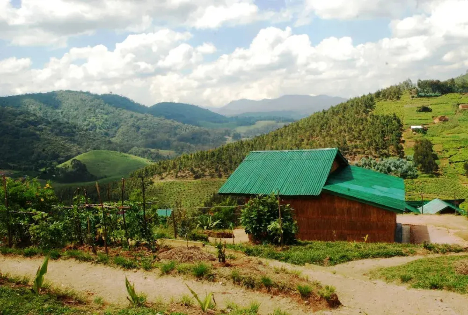 Nyungwe Eco Village