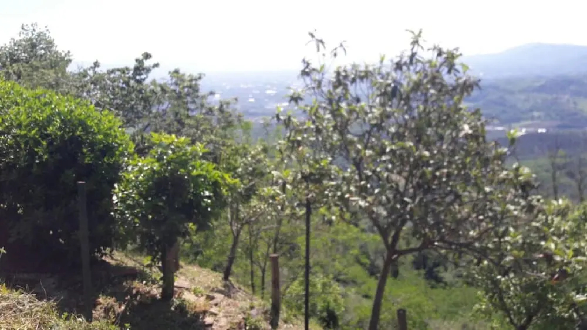 House With 3 Bedrooms in Serravalle Pistoiese, With Wonderful Mountain