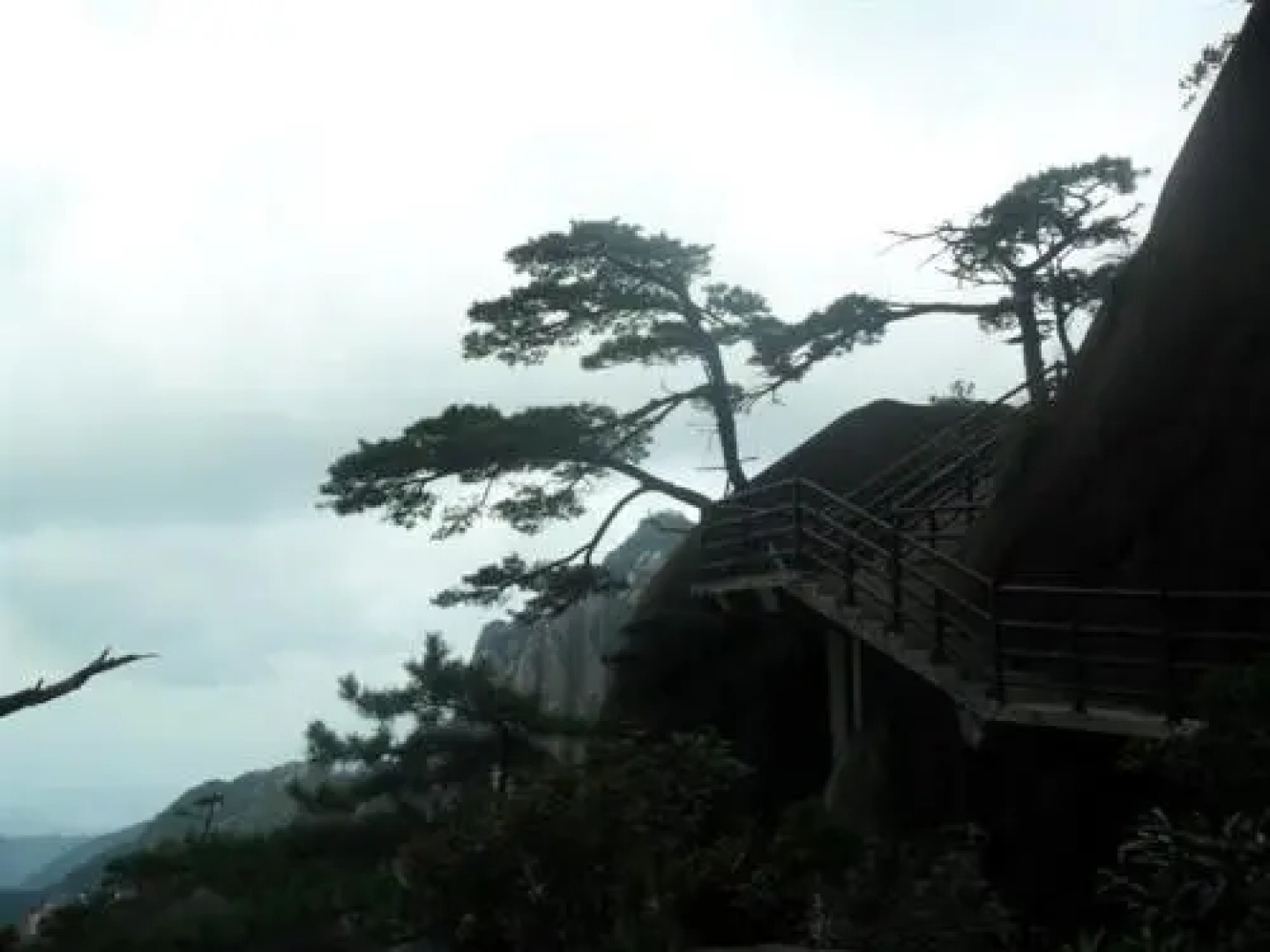 Sanqing Mountain Quanlin Farm Stay