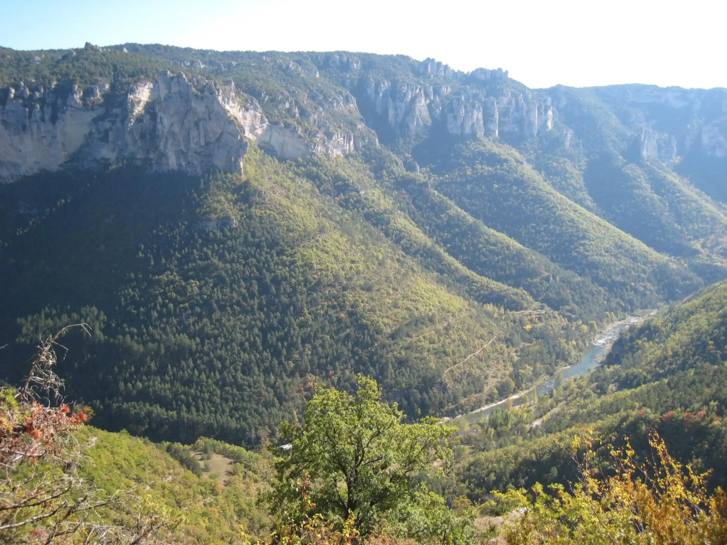Hôtel de la Muse et du Rozier