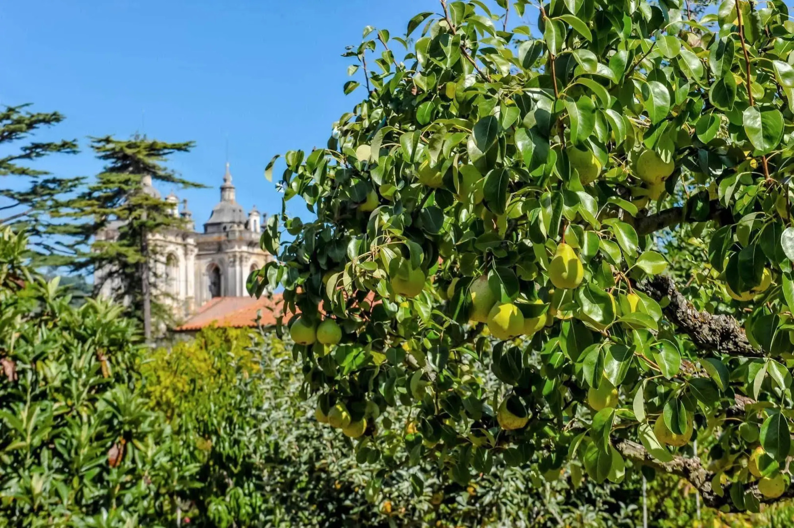 Solar da Cerca do Mosteiro