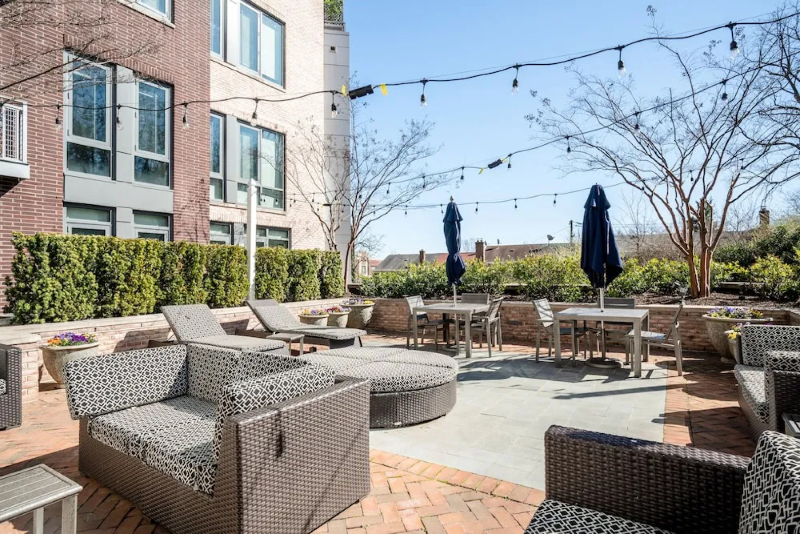 Kasa Alexandria Washington