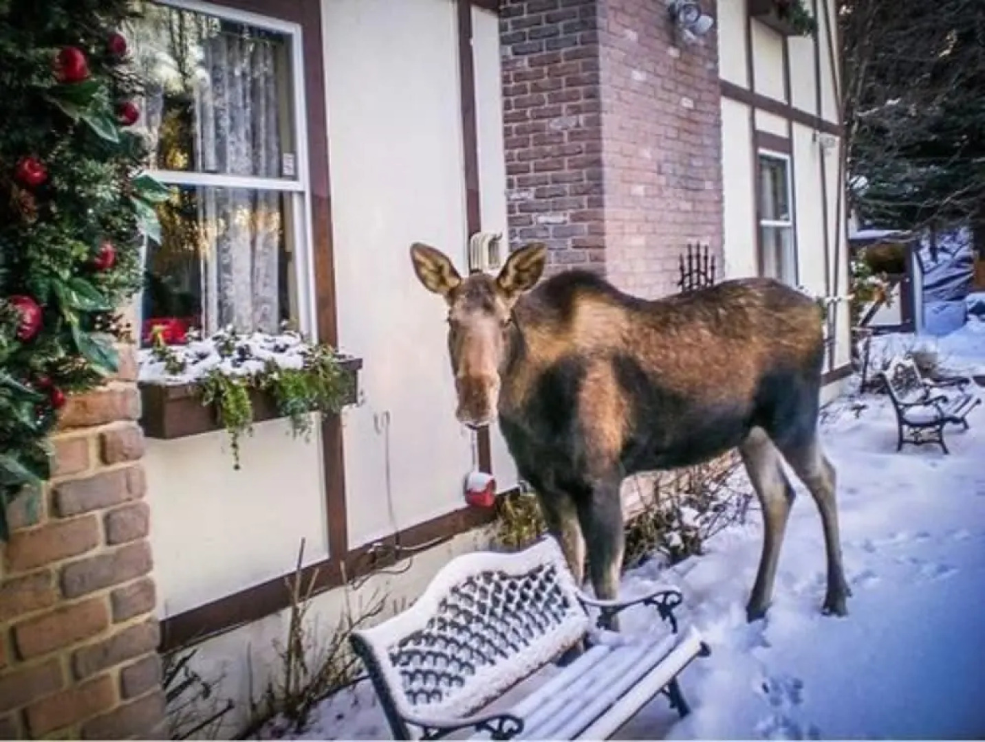 Highland Glen Lodge B&B