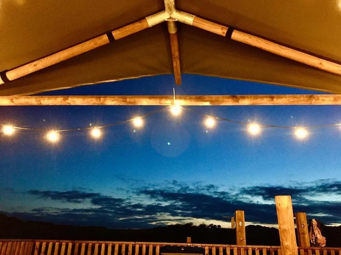 Luxury Safari Lodge Surrounded by Deer!! 'fallow'