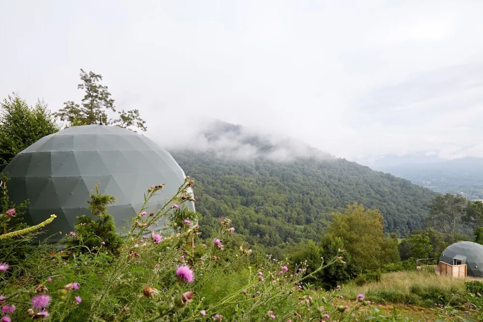 The Glamping Collective