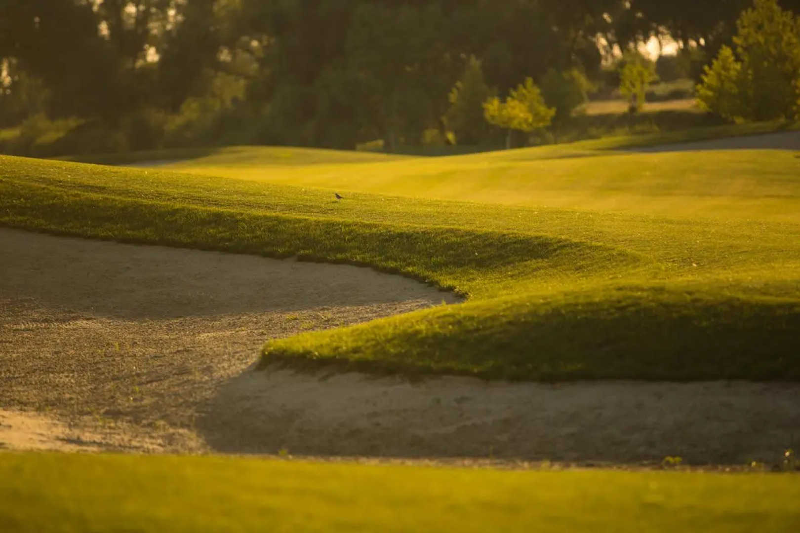 Апарт-отель Предгорье