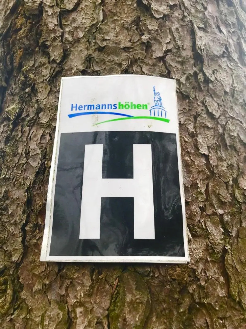 Waldhotel Peter aufm Berge