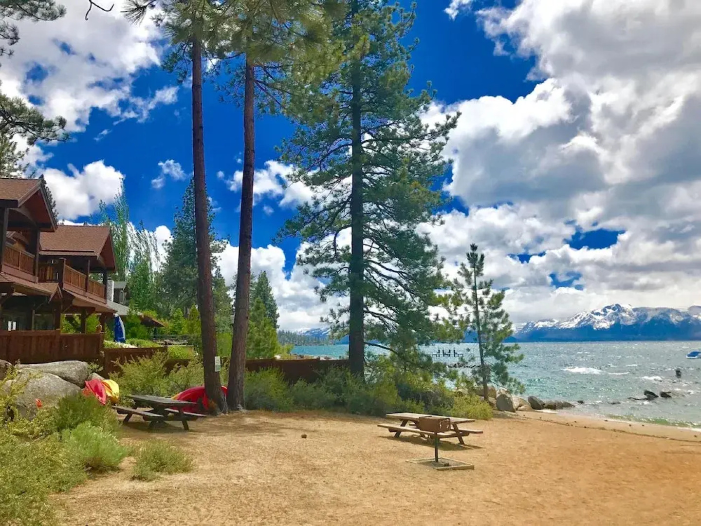 Month A Month Mv19 Willow