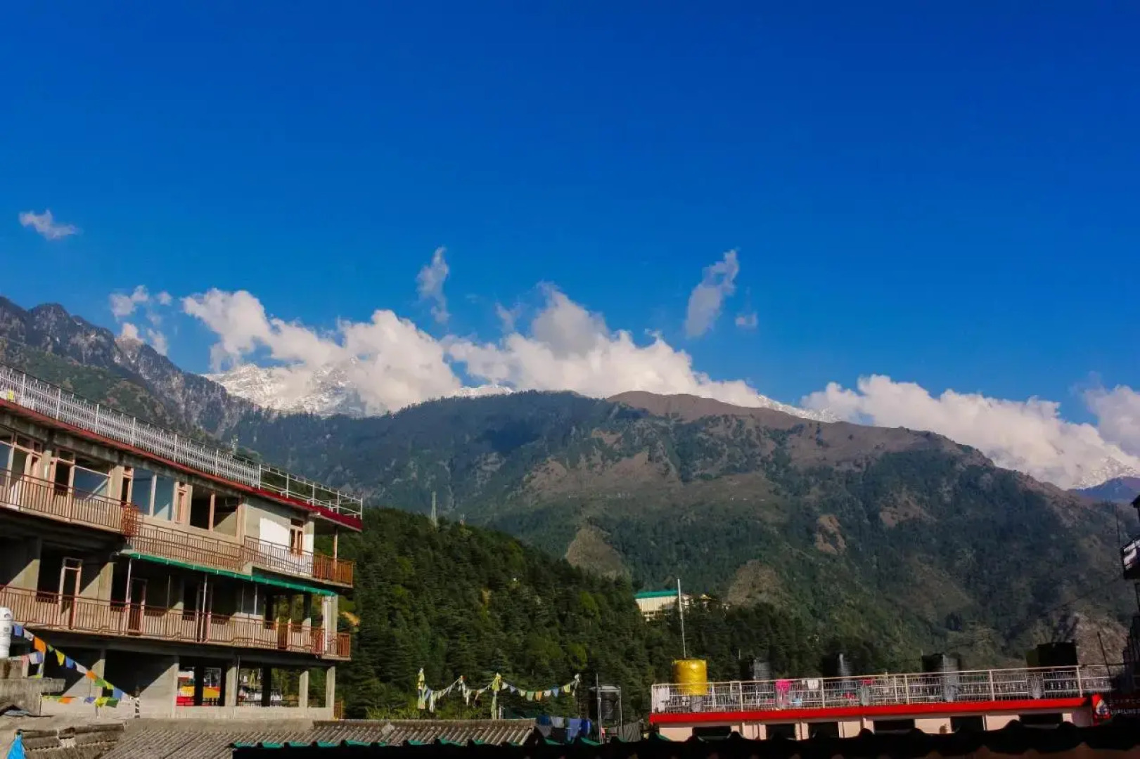 M Hotel & Restaurant