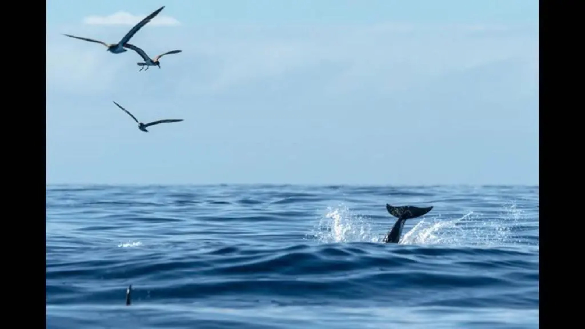 Enjoy Casa Rural La Tinta