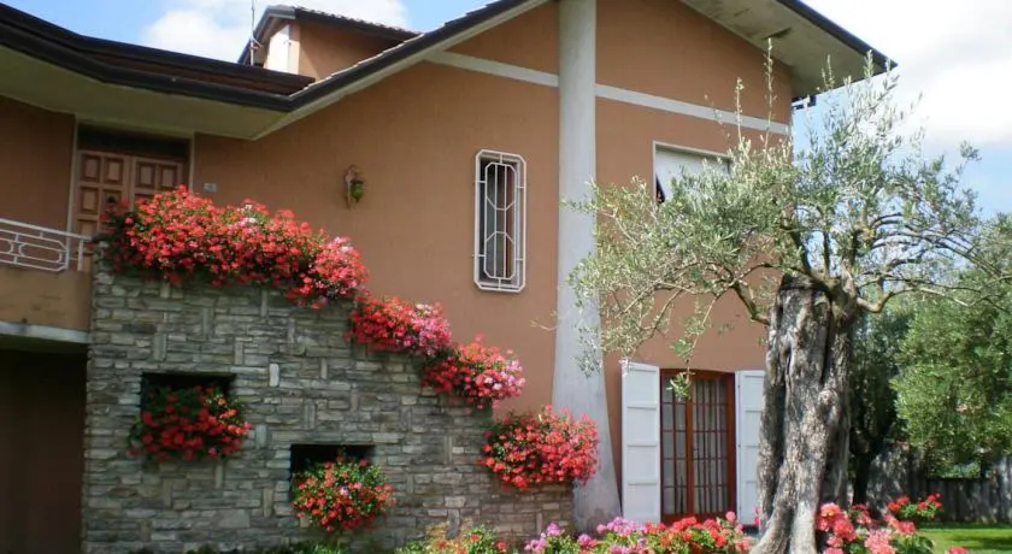 Nel Giardino Degli Ulivi