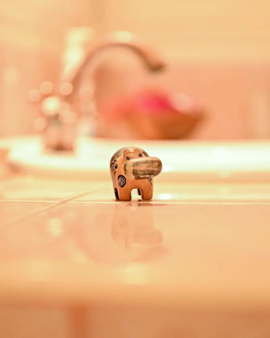 Lions House Boutique Hotel