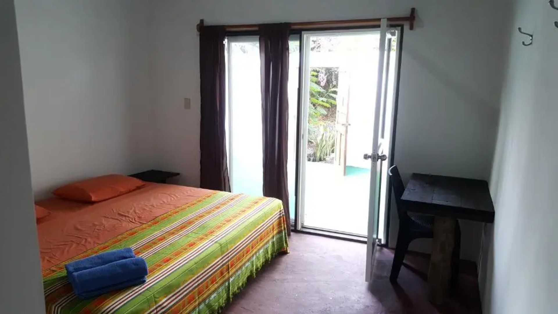 Galapagos Morning Glory