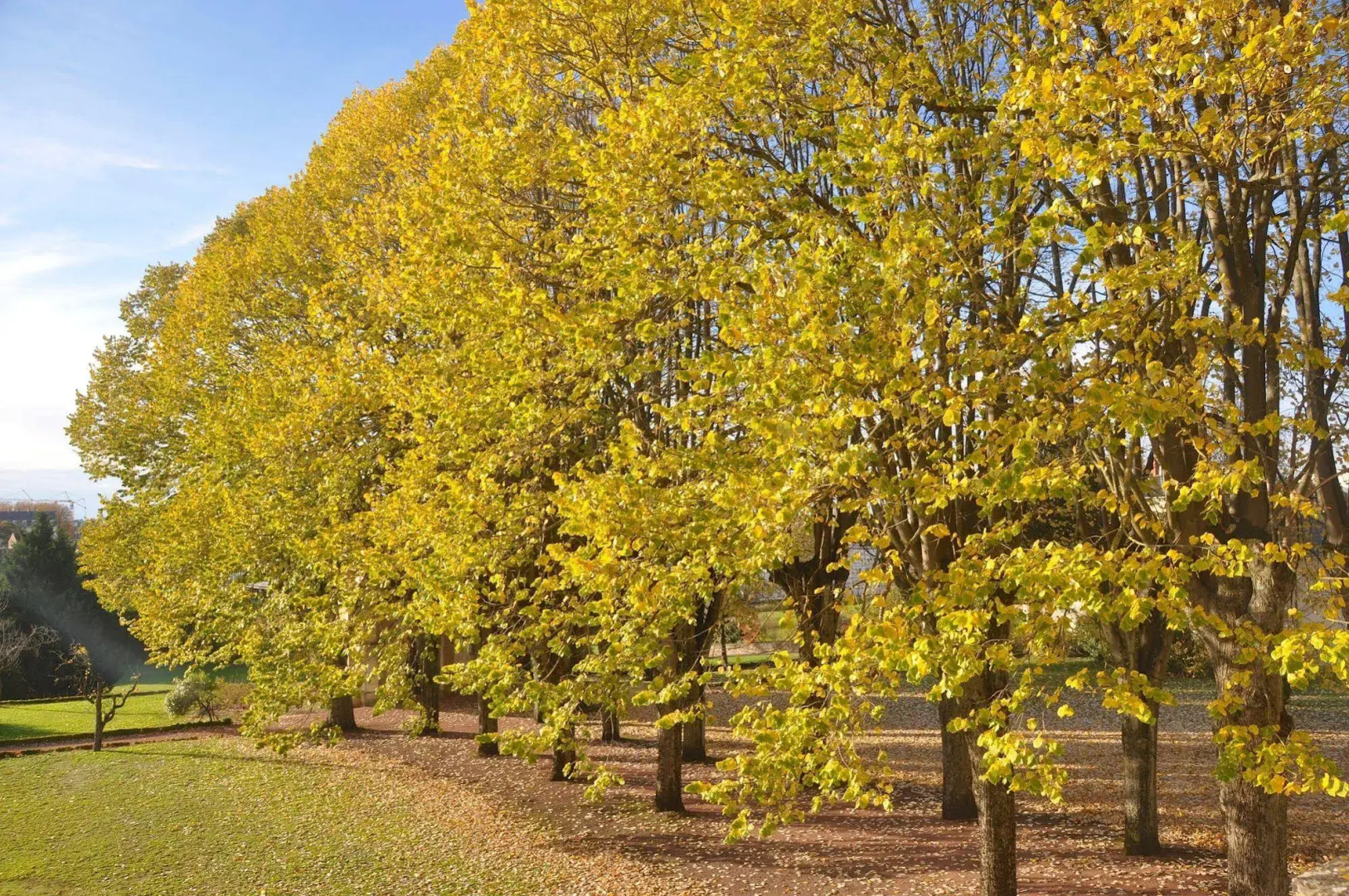 Espace Bernadette Soubirous Nevers