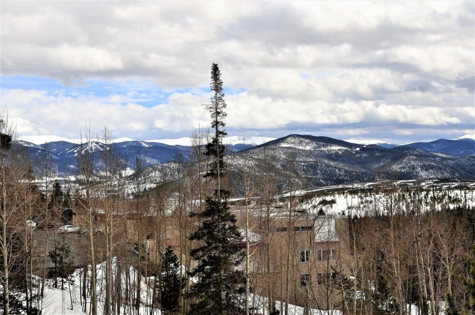 Forest Park 3 Bed 4 Bath Townhome