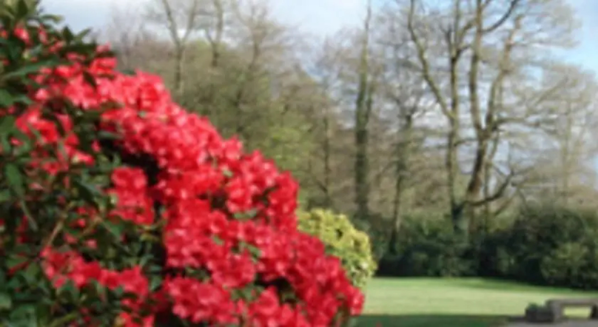 Manoir de Toullaeron