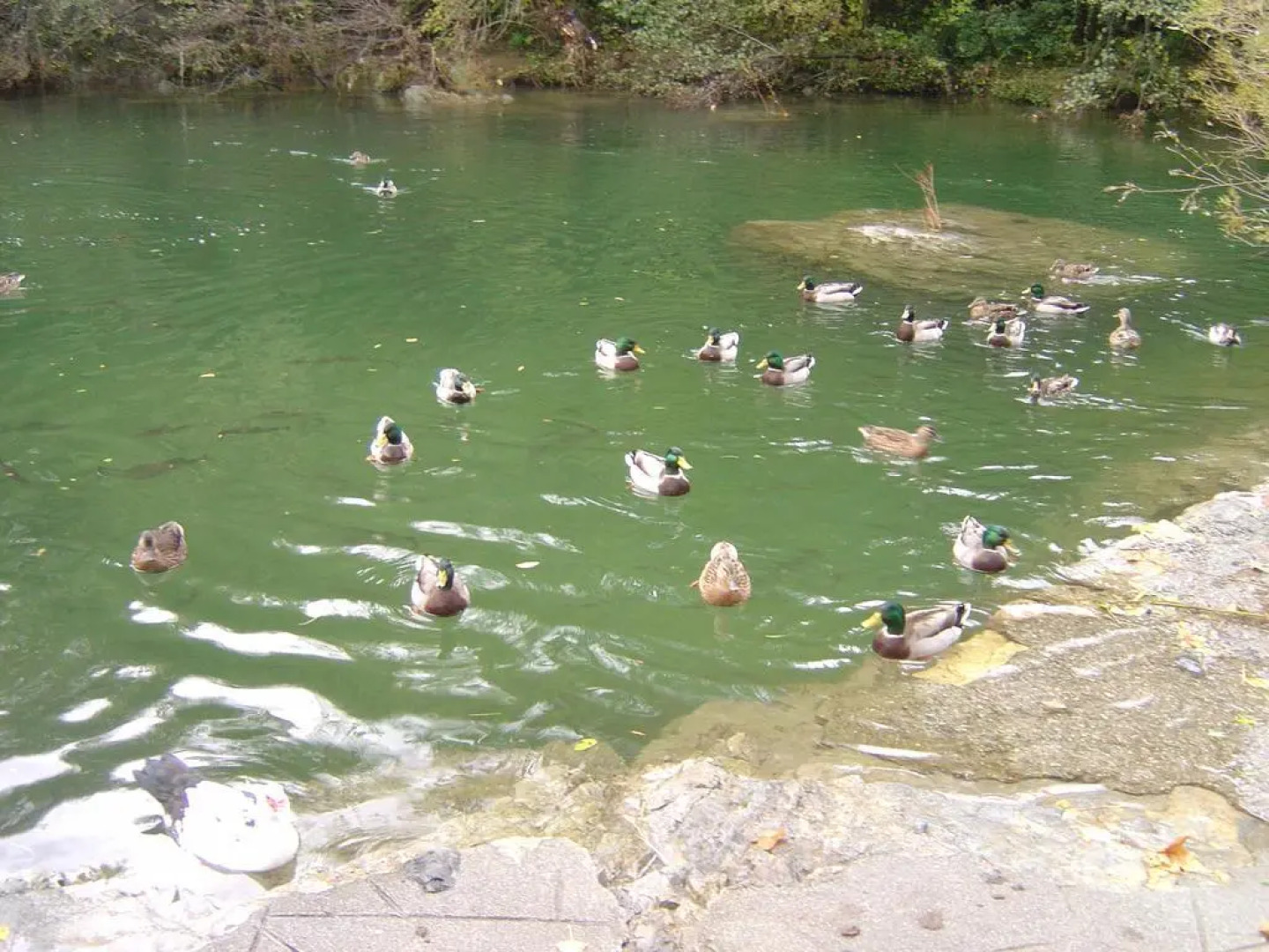 Auberge De La Vallée