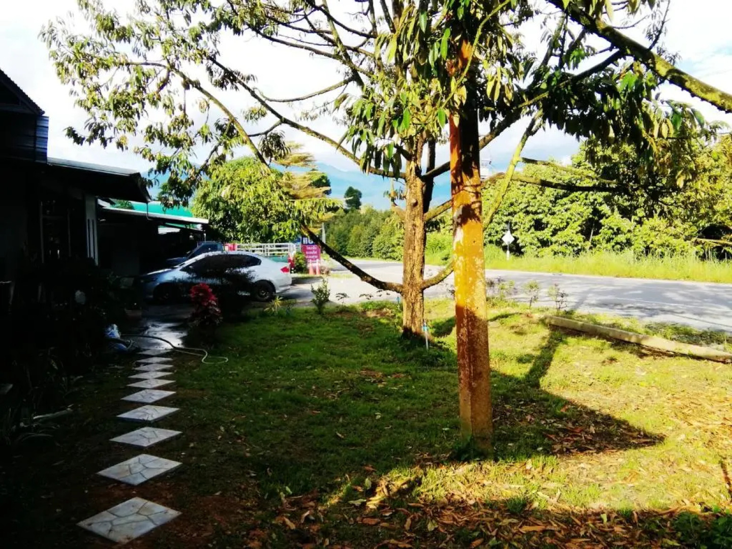 Wilderness Mountain View