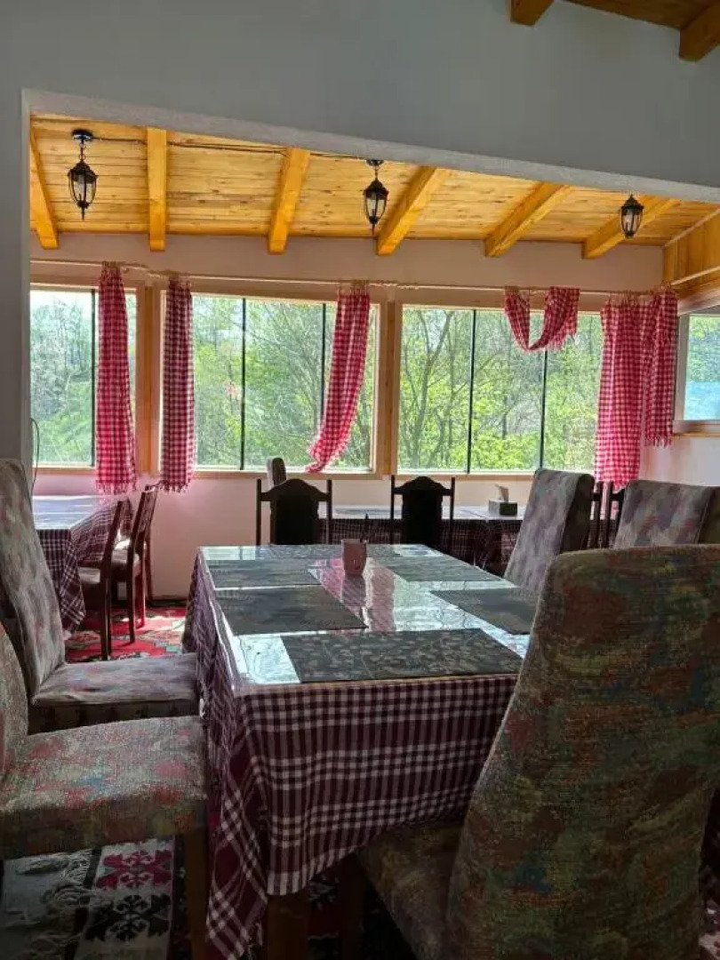 NINO Natural wood house 1