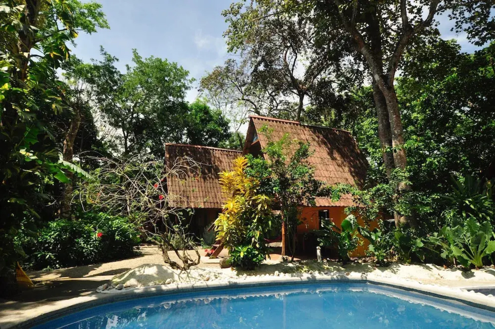 The Howler Monkey Hotel