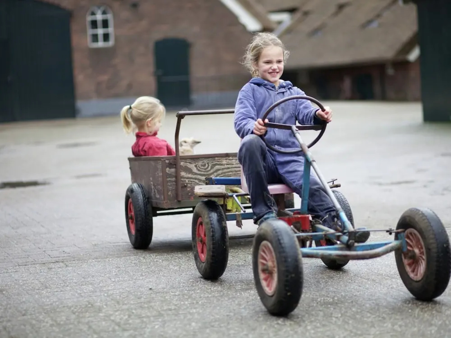 Chalet in Netherlands With Scenic Meadow Views