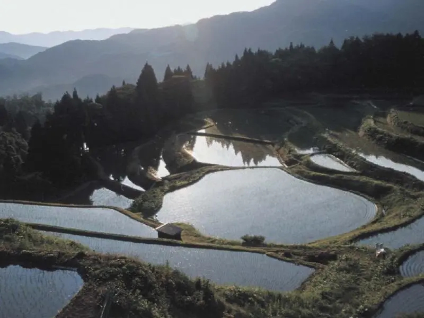 Soranomori Hotel Hanagori